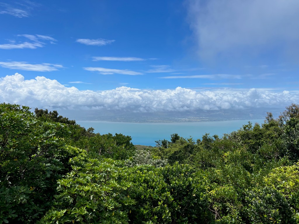 Mokau und Kapiti&nbsp;Island