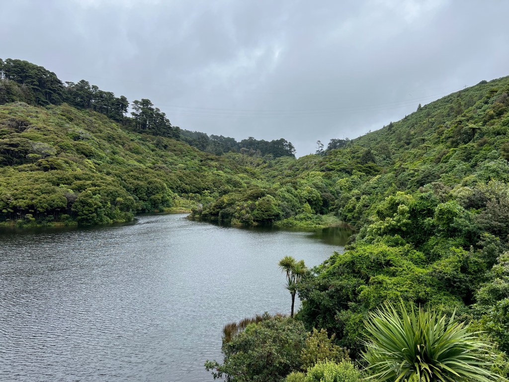 Wellington, Karori Wildlife&nbsp;Sanctuary