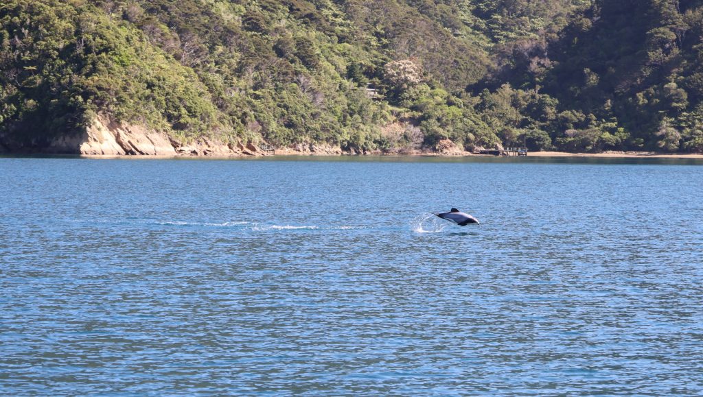 Verlängerung in Picton und Abel&nbsp;Tasman